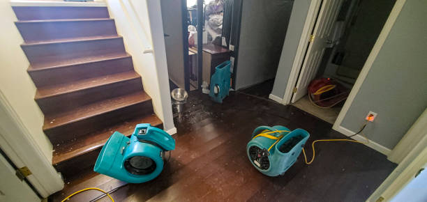 Best Flooded house restoration  in Muscoy, CA