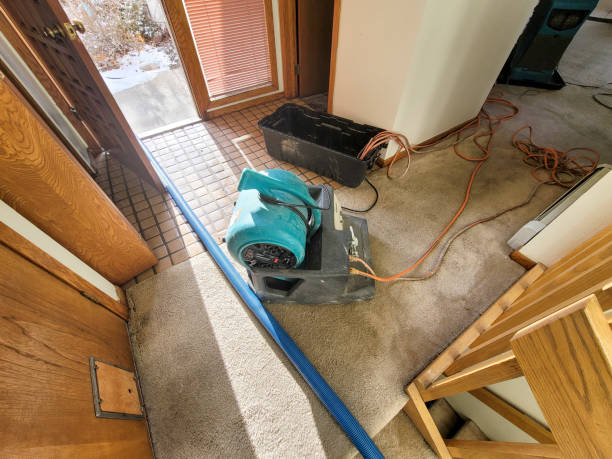 Best 24-hour water damage restoration  in Muscoy, CA