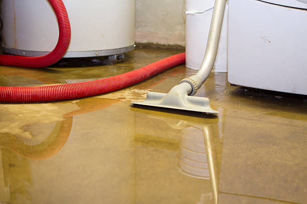  Muscoy, CA Water damage restoration Pros