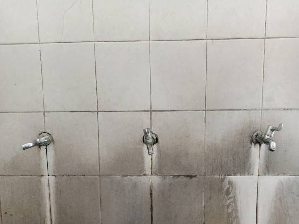 Best Commercial water damage restoration  in Muscoy, CA