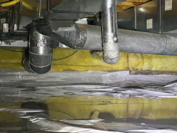 Best Water damage restoration near me  in Muscoy, CA