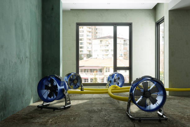 Best Water damage restoration cost  in Muscoy, CA