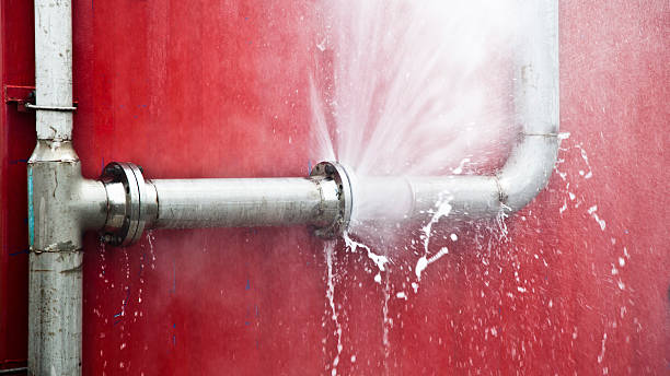Best Water damage cleanup near me  in Muscoy, CA